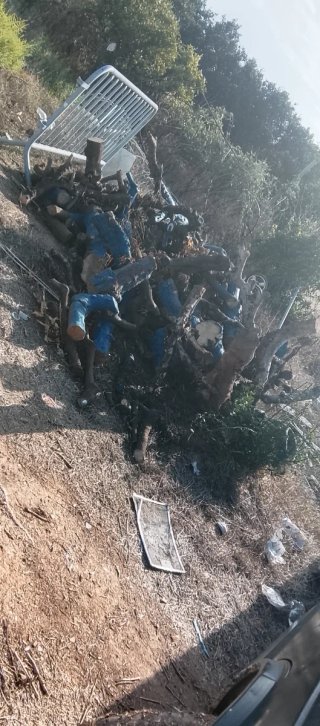 Leña de naranjo para chimenea o barbacoa