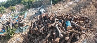 Leña de naranjo para chimenea