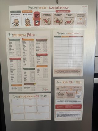 Set de Imanes Guía Alimentación Bebé