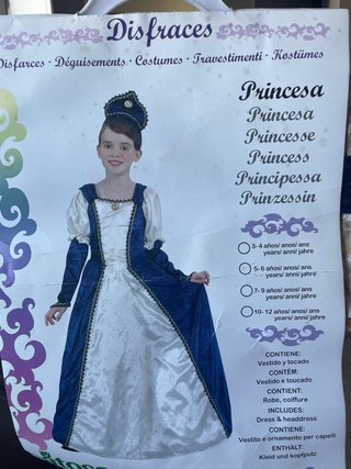 Disfraz de Princesa Atosa