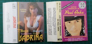 LOTE CARATULAS CASSETTES HEROES DEL SILENCIO STING