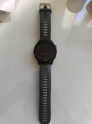 Smartwatch Garmin Forerunner 255 Gris