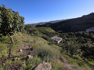 Terreno en venta en Norte - Barrio del Pilar - El Reñidero en Vélez-Málaga