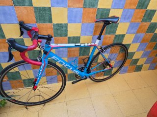 Bicicleta de Carretera Focus Cayo