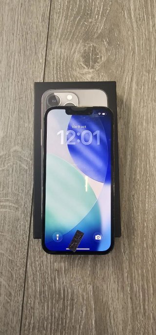 iPhone 13 Pro Gris/Plata