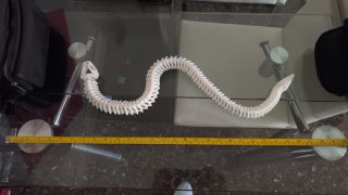 Serpiente esqueleto 3D con pla+