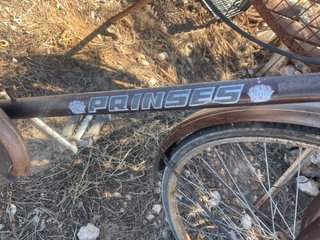 Bicicleta Clásica Holandesa Prinses