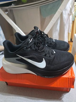 Nike pegasus42 y talla 42 LEER descripción