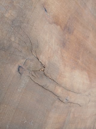 Tablón de madera de olivo