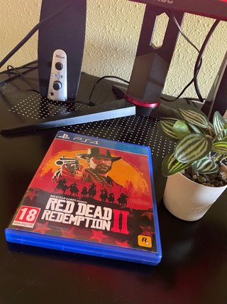 Red Dead Redemption 2 (PS4)