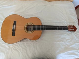 Guitarra Española Molina