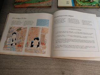 Lote libros antiguos