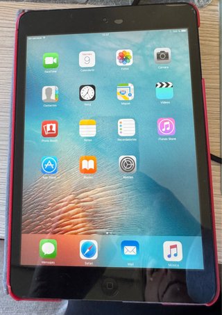 iPad Mini Negro 12.6 GB sin cargador