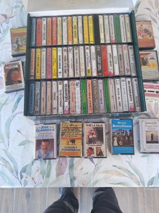 Lote de 50 Casetes de Música Variada