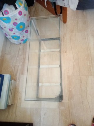 Invernadero de Cristal para Plantas con tapa