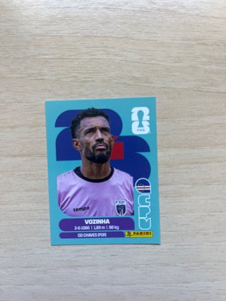 Cromo Panini Vozinha - Mundial 2026