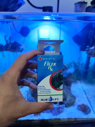 Blue Vet Rx Flux - Tratamiento Algas Acuario