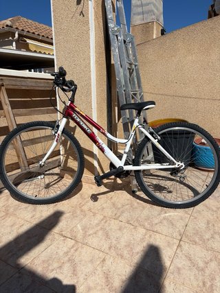 Bicicleta de Montaña Topbike