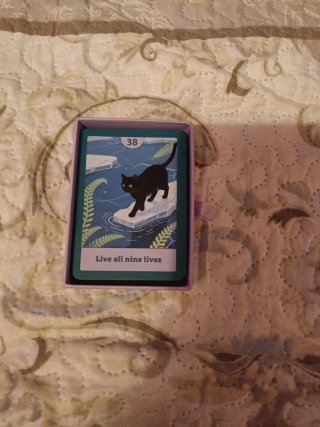 Cartas de Oráculo con Diseño de Gato