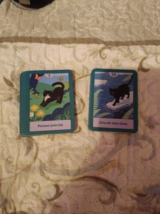 Cartas de Oráculo con Diseño de Gato