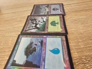 Lote 3 Tierras Básicas Foil 7ª Edición MTG