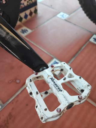 Bici Sprecialized