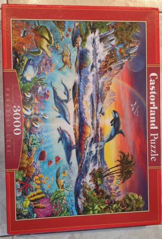 Puzzle 3000 Piezas