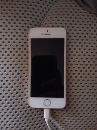 iPhone 5s Blanco
