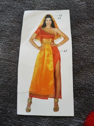 Disfraz de Vestido Hindú