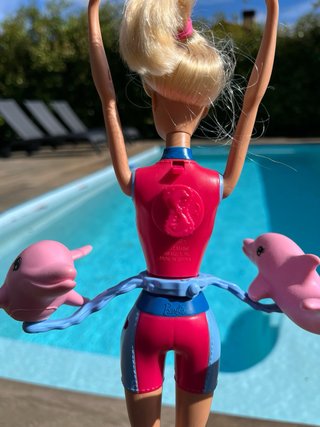 Barbie Entrenadora de Delfines