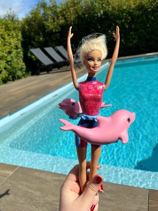 Barbie Entrenadora de Delfines