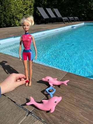 Barbie Entrenadora de Delfines