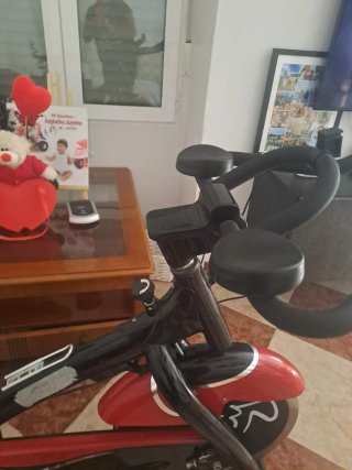 Bicicleta Estática Profesional