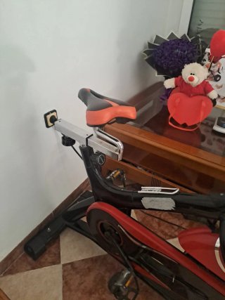 Bicicleta Estática Profesional