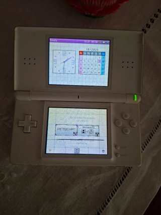 Nintendo DS Lite Blanca
