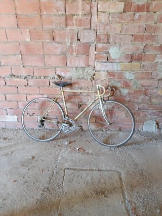 Bicicleta de Carretera Orbea Gredos