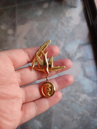 Broche de bisuteria