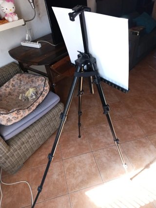 Trípode profesional con lienzo