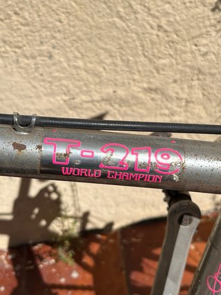 Bicicleta Monty T-219