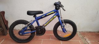 Bicicleta Infantil 14 Pulgadas Azul