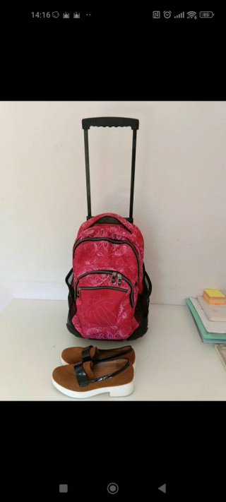 Mochila con Ruedas Rosa y Zapatos Marrones