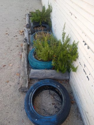 Neumáticos Reciclados para Jardinería