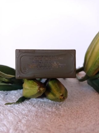 Perfume Loewe Esencia homem