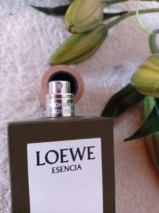 Perfume Loewe Esencia homem