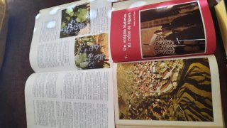 2 Libros Historia y Vino de La Rioja (1979 / 1988)