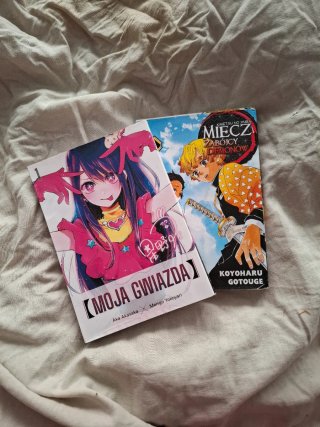 Lote de 19 mangas en POLACO