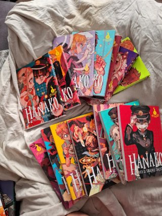 Lote de 19 mangas en POLACO