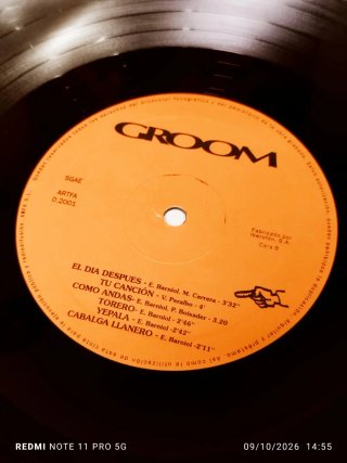 Vinilo Groom - En Busca de Color y Movimiento