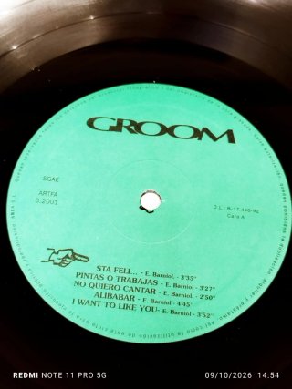 Vinilo Groom - En Busca de Color y Movimiento