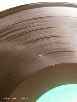 Vinilo Groom - En Busca de Color y Movimiento